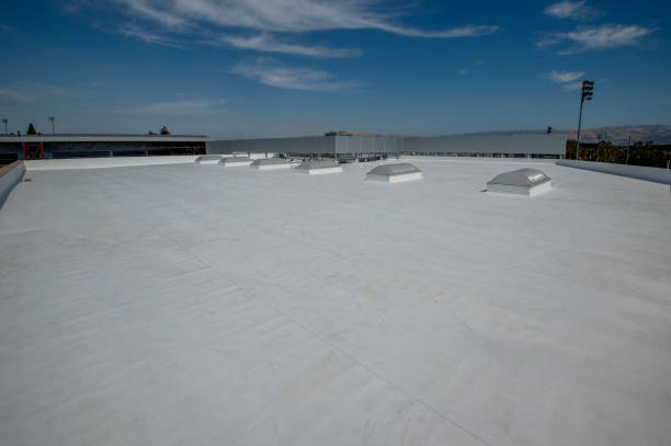 Best Steel Roofing  in Saranac, MI