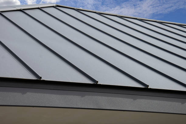 Best Roof Installation  in Saranac, MI